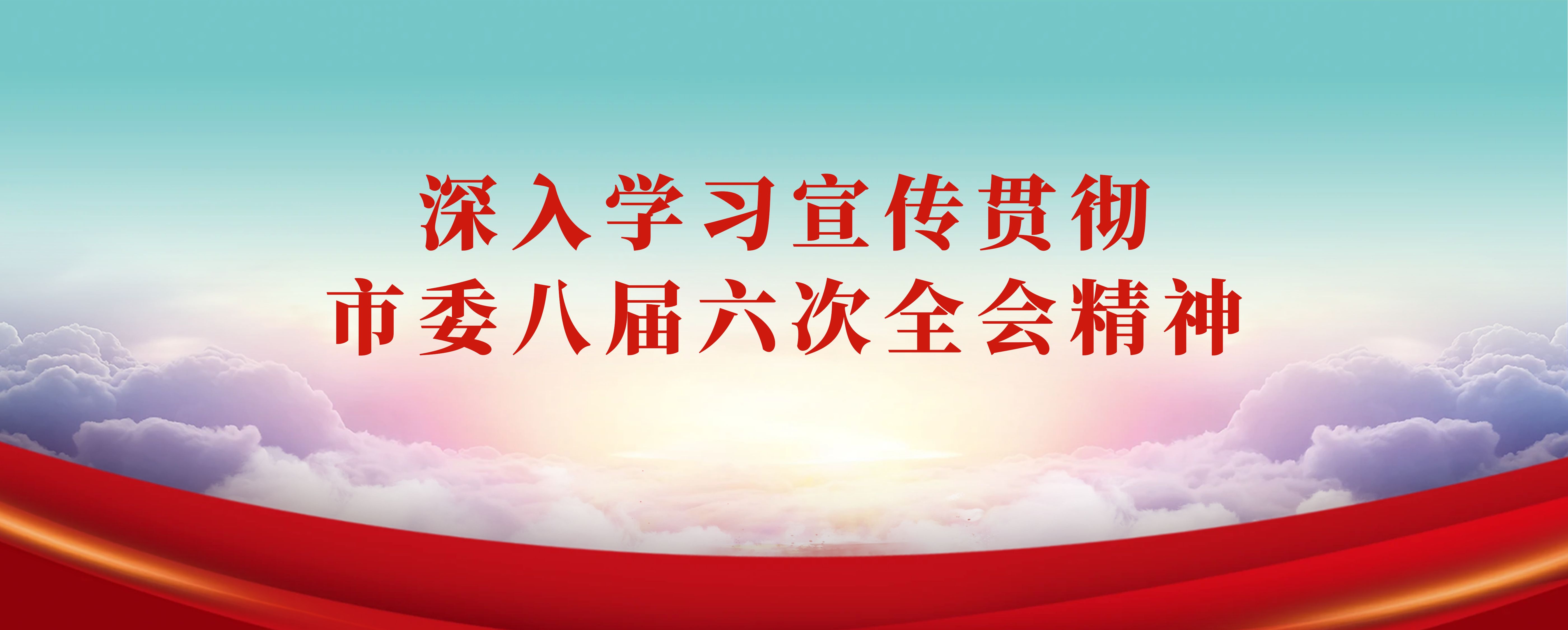深入学习宣传贯彻市委八届六次全会精神-4