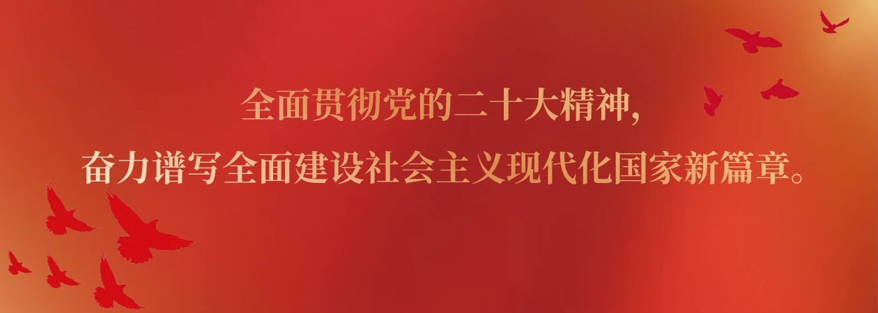 全面贯彻党的二十大精神-1