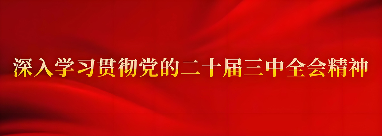 深入学习党的二十届三中全会精神