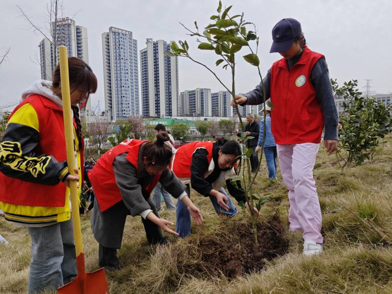 学院组织开展2025年校园义务植树活动