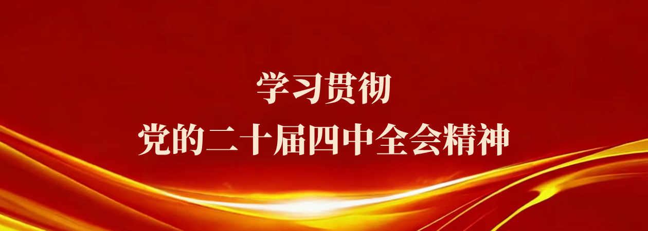 学习党的二十届四中全会精神